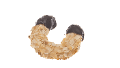 Mandelbogen