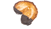 Schweinsohr